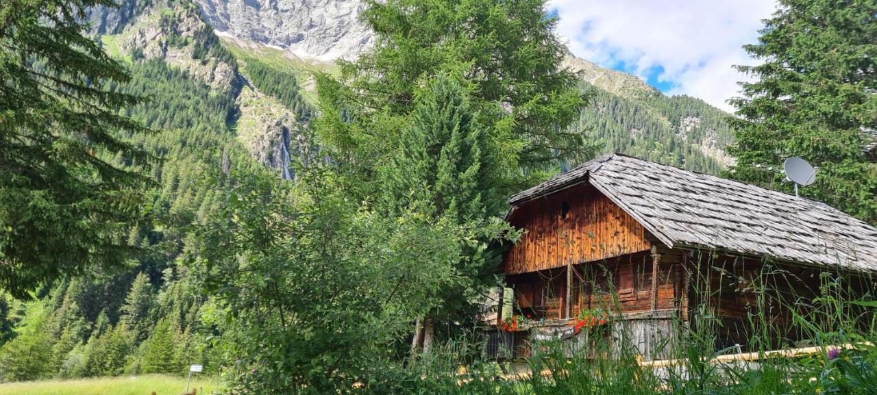 Chalet Wildgall アンテルセルヴァ・ディ・メッツォ エクステリア 写真